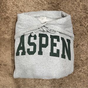 Brandy Melville ASPEN Vintage Hoodie